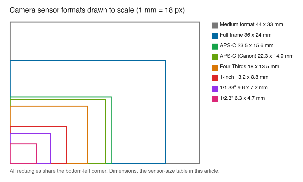 To-scale chart of camera sensor formats from 1/2.3-inch up to 44 x 33 mm medium format